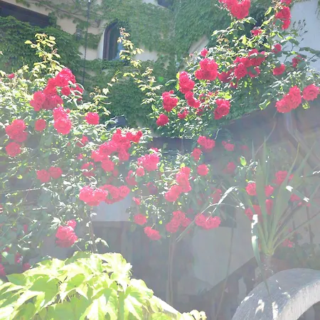 Otel Family Süzebolu