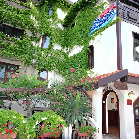 酒店 摩尔酒店 3*