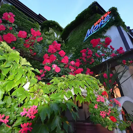 摩尔酒店 索佐波尔